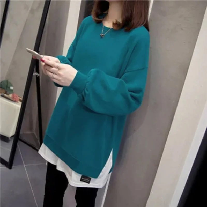 Long Sleeve Paneled Shift Sweatshirt